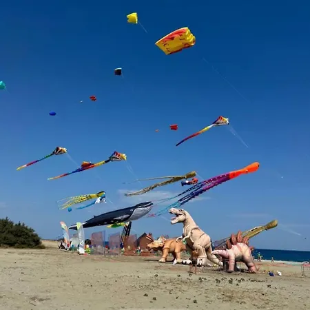 Situation House Apartment Catanzaro