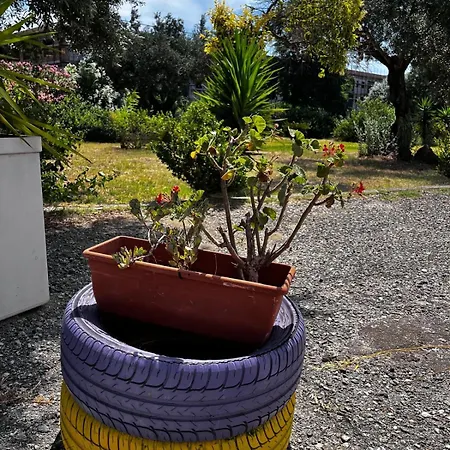 Situation House Appartement